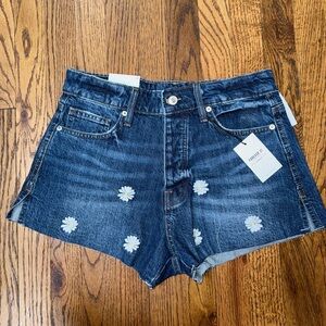 Forever 21 Daisy Embroidered Denim Shorts